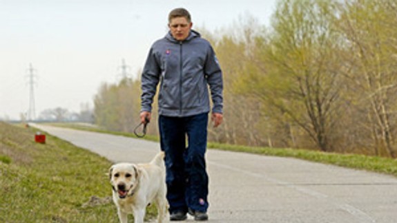 Behajú ľudia, psy sa majú radšej venčiť