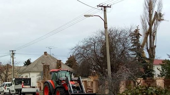 V Prievoze zrezali  topole pri škôlke: Obyvatelia chcú vedieť prečo