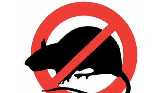 Jesenná celoplošná deratizácia verejných priestranstiev v Petržalke sa začína tento víkend