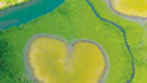 V Dome umenia výstava popredných fotografov