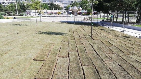 FOTO: Nový trávnik na Námestí slobody totálne vyschol - aký osud ho teraz čaká?