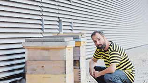 Aj Bratislava má svoje včely, úle už pribúdajú priamo v centre mesta