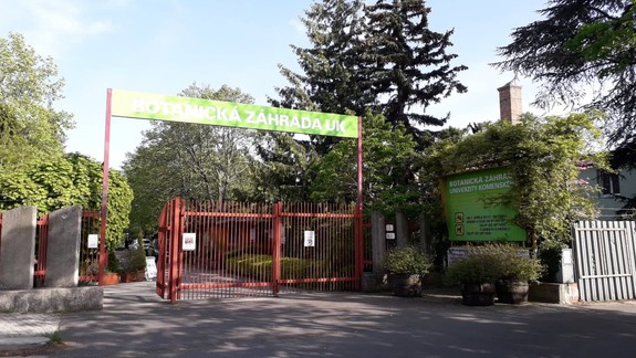 FOTO a VIDEO: Zrkadlá v botanickej sú zakryté, no sú tam ďalšie smrteľné pasce pre vtákov, tvrdí ochranár