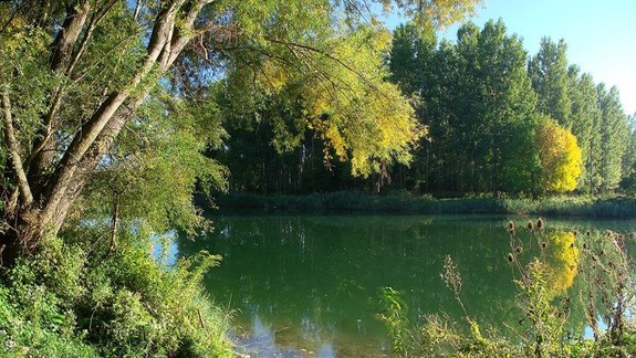 Bratislavský dunajský park čerpá inšpiráciu aj z niektorých viedenských parkov