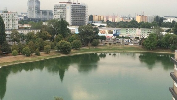 FOTO: Umelý ostrov na Štrkovci sa uvoľnil a odplával – zvieratá sú z toho zmätené!