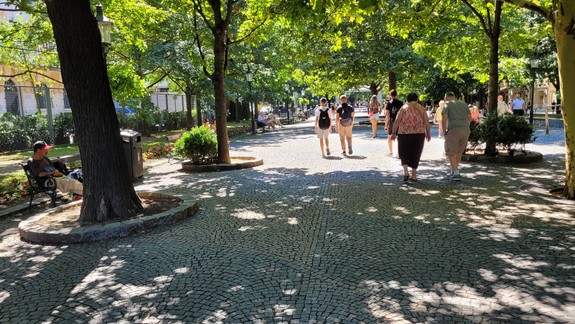 Cyklokuriér zrazil na Hviezdoslavovom námestí sedemročného Vilka a ušiel.  Chlapcova mama nám prezradila detaily