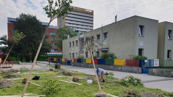 Dúbravka začala s výsadbou stromov. Pribudnú ich stovky