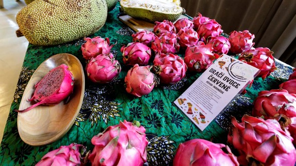 Vedeli ste? Dračie ovocie je prospešné pre imunitný systém,pozitívne vplýva aj na zrak