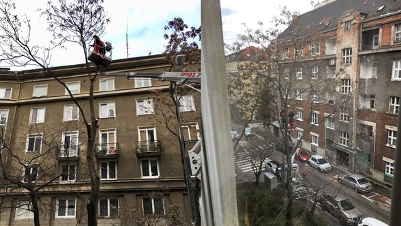 Na Povrazníckej ulici dnes vyrúbali tri krásne stromy – ľudia sa proti tomu búrili, ale márne...