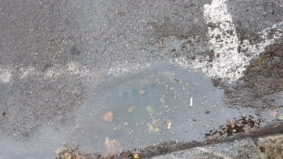 Vzdali to? Takto dopadol zámer vyčistiť kanály na Šoltésovej