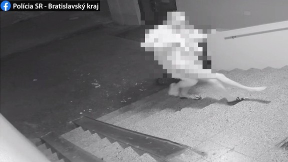 Obrovská dráma v byte v Petržalke: Fyzické a psychické utrpenie mladej ženy ukončil až zásah polície