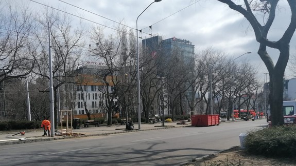 Počas jarnej výsadbovej sezóny vysadili stovky stromov a kríkov