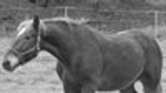 Otec kričal, ale nikto mu nič nerozumel