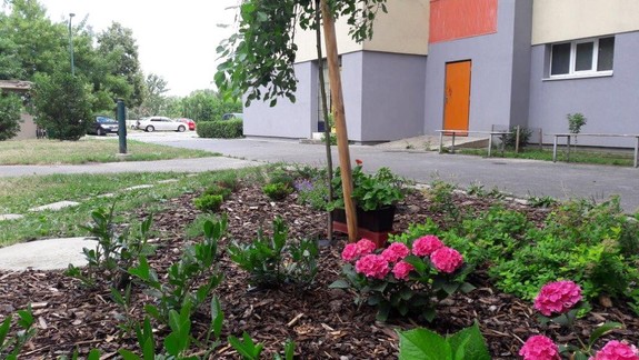 Ružinov môže obyvateľom pomôcť pri tvorbe predzáhradok