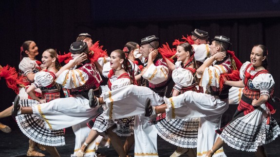 SĽUK-u sa darí. Pozrite si bilanciu súboru za minulý rok