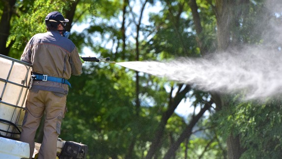 Útočiace komáre: Mestské časti strácajú trpezlivosť. Prestanú sa spoliehať na magistrát a zasiahnu na vlastnú päsť?