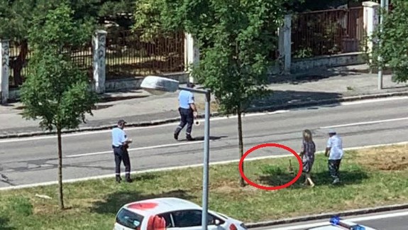 FOTO a VIDEO: Mestskí policajti pomáhali na Tomášikovej ulici chrániť životy malých kačiatok