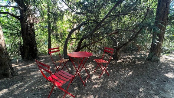 FOTO a VIDEO Je naozaj unikátna: Historická Kochova záhrada sa po rokoch otvára verejnosti