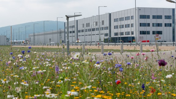 Príroda v areáli automobilky? Možno budete prekvapený, ale je pestrá