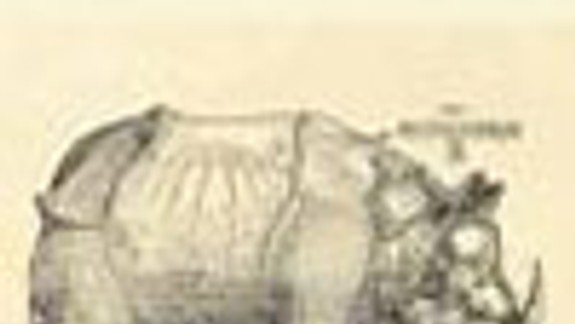 Grafické listy Albrechta Dürera na Hrade