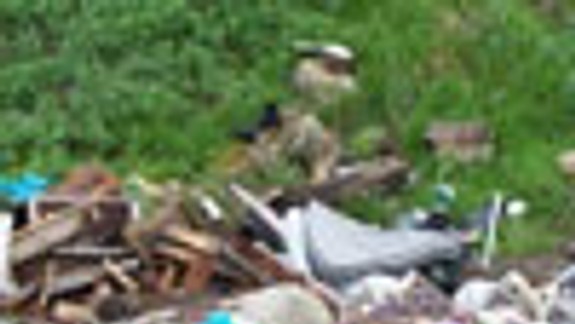 V Devínskej Novej Vsi vzniká čierna skládka