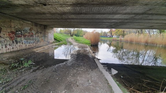 Čistota v Petržalke sa zlepšuje, stále sa však nájdu čierne skládky