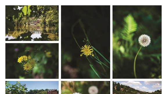 Prečo by mal každý bratislavský romantik vyskúšať dovolenku na českej Toulave