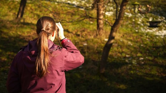 Začína sa druhý ročník sčítania vtákov na kŕmidlách