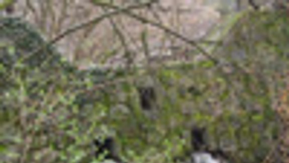 Račanov má pred záplavami chrániť polder