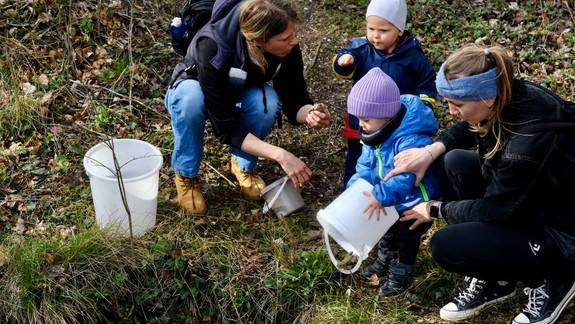 VIDEO: Prenášanie žiab sa začalo. Nerobte to na vlastnú päsť