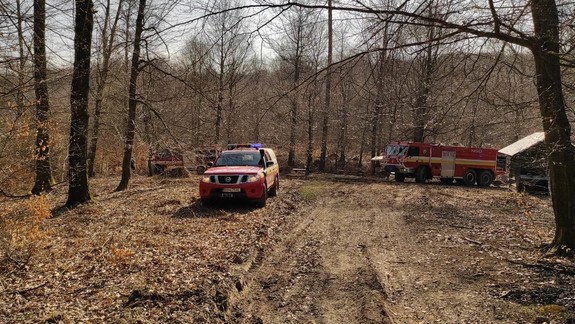 Rozsiahly požiar v lese: Do boja s plameňmi sa pustili hasiči z celej Bratislavy