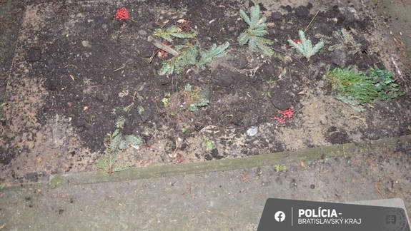 Absolútny hyenizmus: Zlodeji na cintoríne ukradli celú kamennú dosku