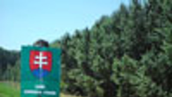 Voči rozsudku o Pečnianskom lese sa odvolali