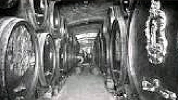 Vínovod viedol z pivnice až na vlakovú stanicu