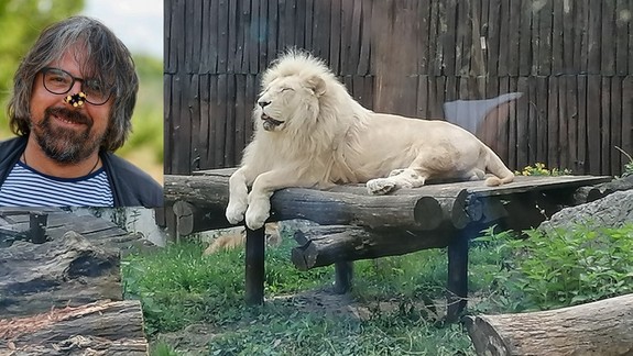 ROZHOVOR: Na aké zmeny sa môžu tešiť návštevníci ZOO? Bude ich naozaj dosť