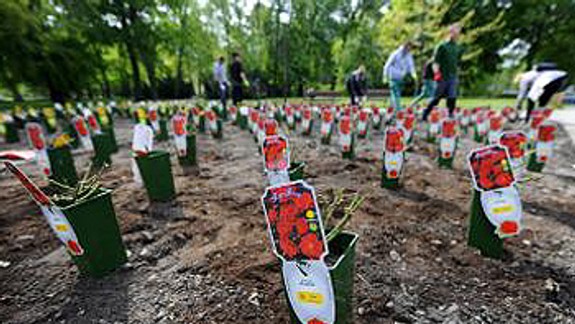 Petržalská samospráva po 80 rokoch obnoví rozárium v Sade Janka Kráľa