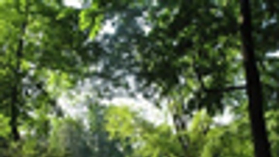 V Sade J. Kráľa by mohol byť chodník literátov