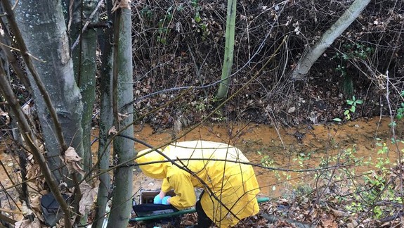 Na Žabom majeri potvrdili vysoké znečistenie vody