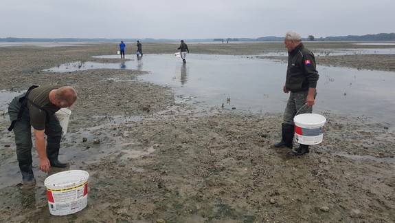 FOTO: Zníženie hladiny Dunaja si vybralo krutú daň, rybári ratovali umierajúce živočíchy