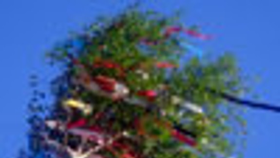 V Rusovciach bude v sobotu Zadunajský majáles