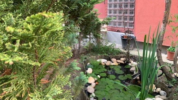 Úžasné! Sídliskový dvor má jazierko s japonskými koi kaprami