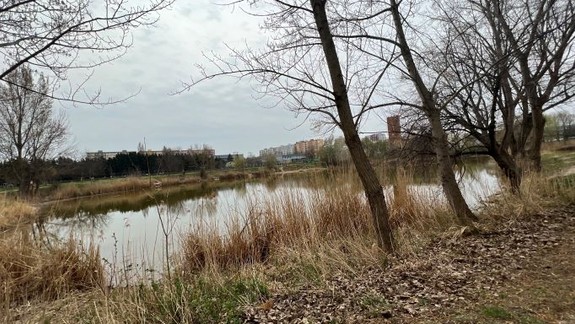 Návrh centrálneho pamätníka obetí COVID-19 má byť známy v decembri