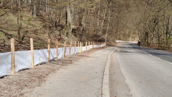 Pomôžte ropuchám: Na Železnej studničke sa budú opäť stavať zábrany na záchranu žiab