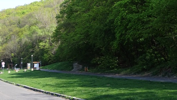 V Líščom údolí vyrúbu 300 stromov, väčšinu nechajú po vypílení ležať na mieste