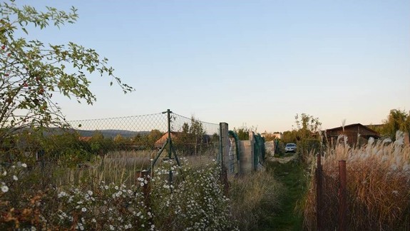 Dráma v záhradkárskej osade: Zastrelili psa, zbraň mali v rukách aj po príchode policajtov