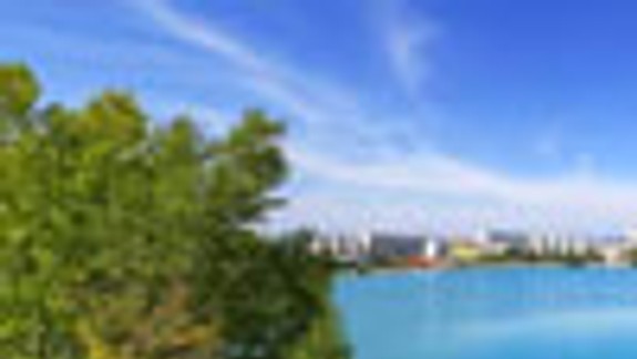 Petržalka zastavila výrubové konanie v lesoparku