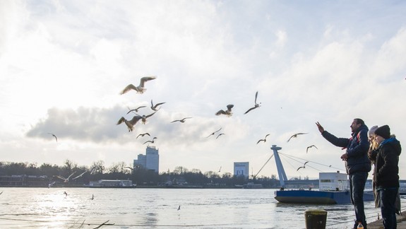 FOTO: Romantika. Takto vyzerala Bratislava v trojkráľovú sobotu