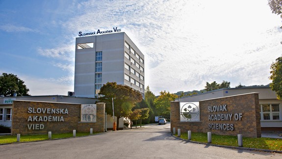 Vedci zdôrazňujú: Až 80 percent prípadov infikovaných novým koronavírusom má miernu formu