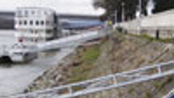 Muž chcel utiecť pre políciou, skočil do Dunaja