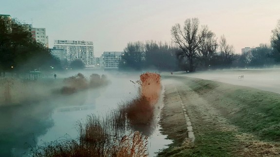 Petržalka chce invazívne dreviny odstraňovať šetrnejším spôsobom